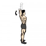 triceps